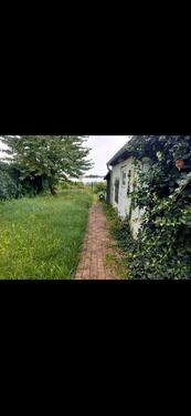 Foto - Haus Bungalow am See zu verkaufen