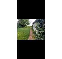 Haus Bungalow am See zu verkaufen - Angermünde