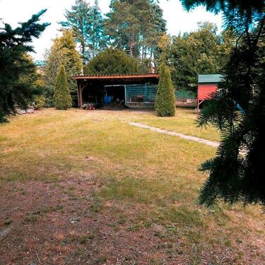 Foto - Einfamilienhaus in Schkeuditz zum Kaufen