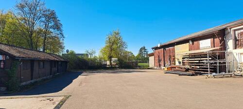 Foto - andere in Mutterstadt