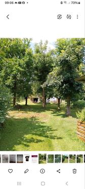 Foto - Einfamilienhaus in Friedland zum Kaufen
