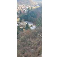 größer Wohnung in Altenbamberg - 1.390,00 EUR Kaltmiete, in Bingen am Rhein (PLZ: 55411)