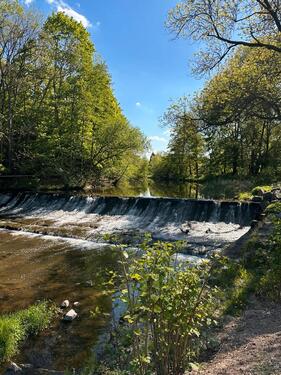 Foto - 3 Zimmer Erdgeschoßwohnung in Freital