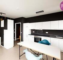 Furnished! 1-room apartment with fully-equipped kitchen - Darmstadt Darmstadt-West