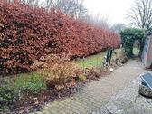 Foto - Doppelhaushälfte in Nordenham zum Kaufen