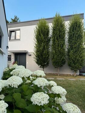 Foto - DHH mit Weitsicht und uneinsehbarem Garten