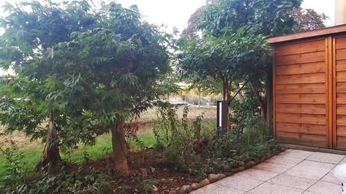 Foto - Etagenwohnung zur Miete in Freiburg im Breisgau