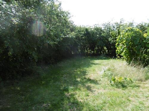 Foto - Etagenwohnung zur Miete in Herleshausen