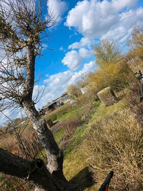 Foto - Grundst&uuml;ck in Rostock zur Miete