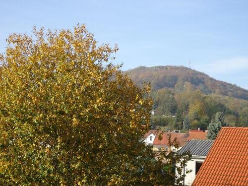 Foto - Etagenwohnung in Sondershausen zur Miete