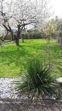 Foto - SchrebegartenGarten - 3.500,00&nbsp;EUR Kaltmiete, ca.&nbsp; 0,00&nbsp;m&sup2;