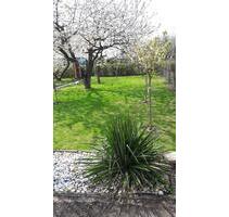 SchrebegartenGarten - 3.500,00&nbsp;EUR Kaltmiete, ca.&nbsp; 0,00&nbsp;m&sup2; in Zarrentin am Schaalsee (PLZ: 19246)