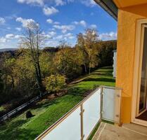 Sanierte bezugsfertige Wohnung mit Balkon - Sulzbach (Saar)