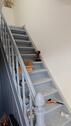Foto - 5 Zimmer Einfamilienhaus in Langenfeld (Rheinland)