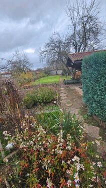 Foto - Grundstück zur Miete in Jena