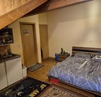 Möblierte 1-Zimmerwohnung in Wolnzach ab 01.02.26