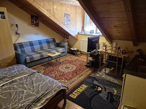 Foto - 1 Zimmer Etagenwohnung zur Miete in Wolnzach