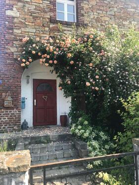 Foto - 5 Zimmer Einfamilienhaus zur Miete in Alpenrod