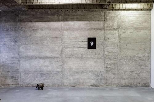 Foto - andere in Frankfurt am Main zur Miete