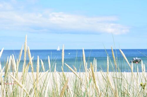 Foto - Ostsee Ferienwohnung direkt am Yachthafen Strand Meer Damp