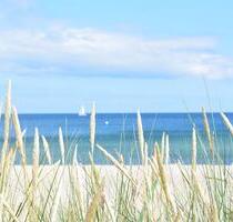 Ostsee Ferienwohnung direkt am Yachthafen Strand Meer Damp - Neustadt am Rübenberge