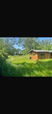 Foto - Einfamilienhaus in Berlin zur Miete