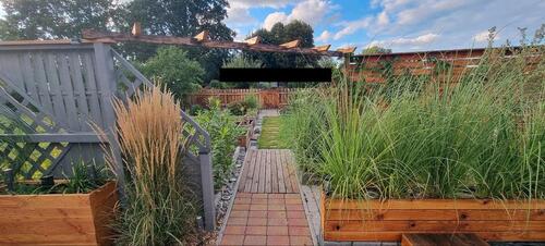 Foto - Grundstück in Borsdorf