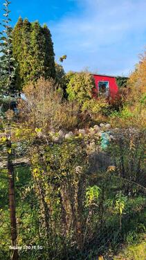 Foto - Grundstück zur Miete in Magdeburg