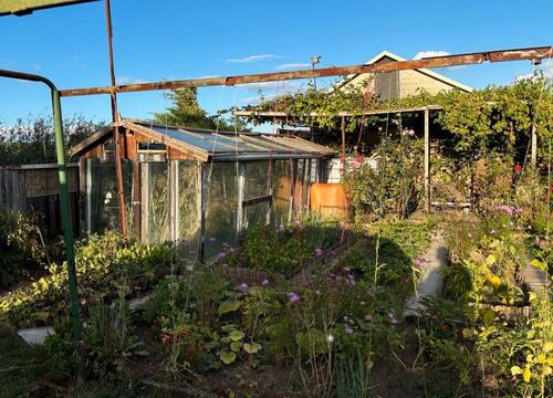 Foto - Grundstück zur Miete in Weißenfels