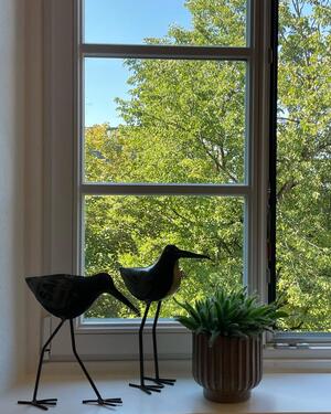 Foto - andere in Ludwigsburg zur Miete