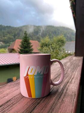 Foto - 2Zi.-Wohnung mit großem Balkon zum Wohlfühlen