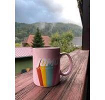 2Zi.-Wohnung mit großem Balkon zum Wohlfühlen - Utzenfeld