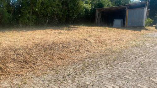 Foto - andere in Bretten zur Miete