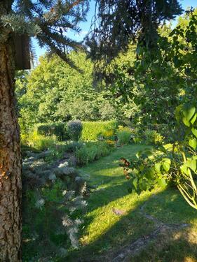 Foto - Grundst&uuml;ck zur Miete in Kamenz