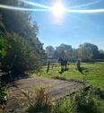 Foto - Ferienwohnung Bauernhof Reiten Familienurlaub Ostsee