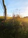 Foto - andere in Neustadt in Holstein zur Miete