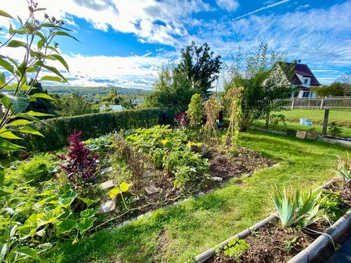 Foto - Pacht Garten mit tollem Weitblick über Gera mit Gewächshaus