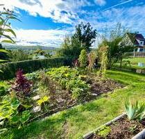 Pacht Garten mit tollem Weitblick über Gera mit Gewächshaus