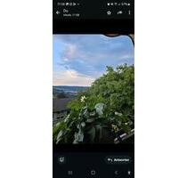 WG Zimmer Wohnung mit 4 Zimmern in Siegen am Giersberg