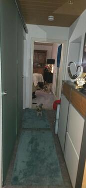 Foto - 3 Zimmer Etagenwohnung zum Kaufen in Pirna