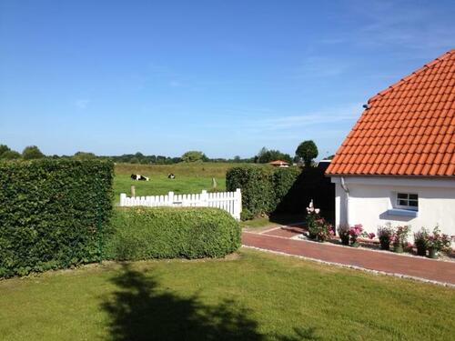 Foto - andere in Großheide