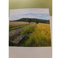 Einfamilienhaus - 450.000,00&nbsp;EUR Kaufpreis, ca.&nbsp; 170,00&nbsp;m&sup2; in Grünberg (PLZ: 35305)