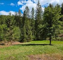 Grundstück, Waldwiese, Lichtung zu verpachten 66969 Lemberg