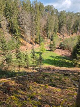 Foto - Grundst&uuml;ck in Lemberg zur Miete