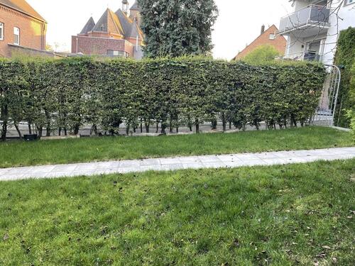 Foto - 