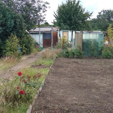 Foto - Grundstück zur Miete in Güsten