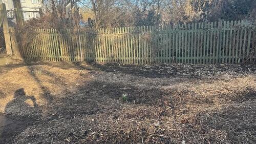 Foto - Grundst&uuml;ck in Magdeburg