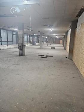 Foto - andere zur Miete in Mannheim