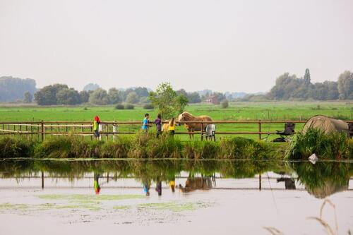 Foto - andere in Detern