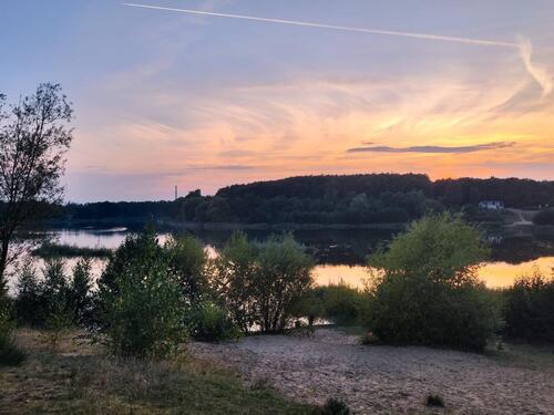 Foto - andere in Uelzen